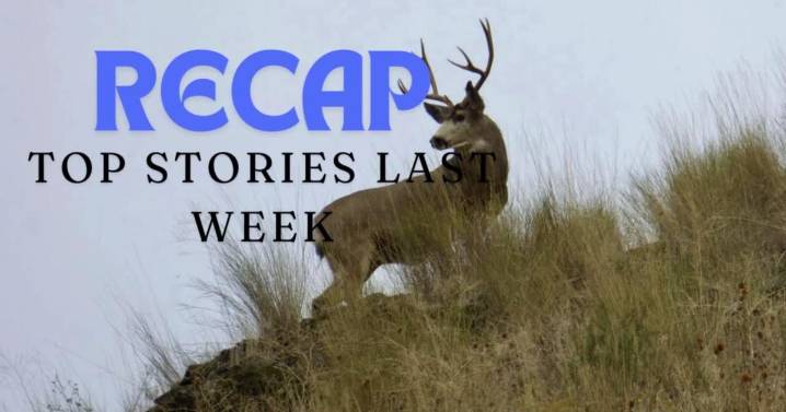 RECAP: Top 7 Stories from last week
