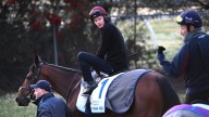 World's best jockey faces uphill battle after Cup barrier draw