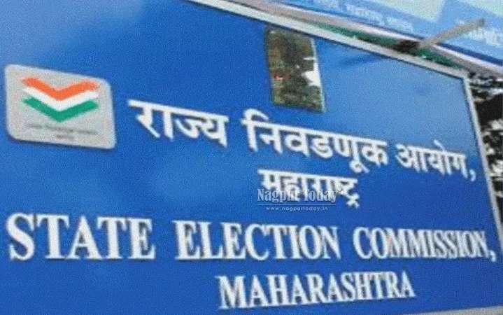 SEC raises star campaigner limit for local body polls from 20 to 40