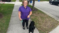 Carole Adamczyk trains service dogs