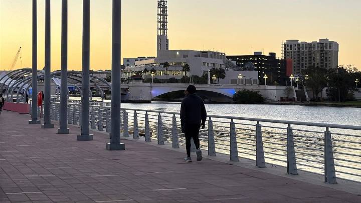 Evening Briefing Tampa November 11 2025