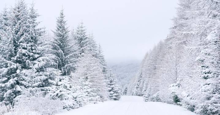 Health alerts in place as UK faces -12C, 25cm snow and blizzards