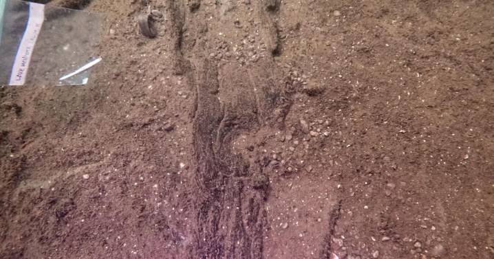 Wisconsin archaeologists identify 16 ancient canoes in a prehistoric lake 'parking lot'
