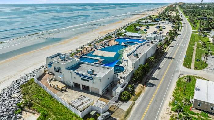 Clay County couple, dolphin experts vying to buy Marineland will get a chance to bid on property, judge rules