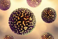 La OMS declara que el virus de la hepatitis D es carcinógeno