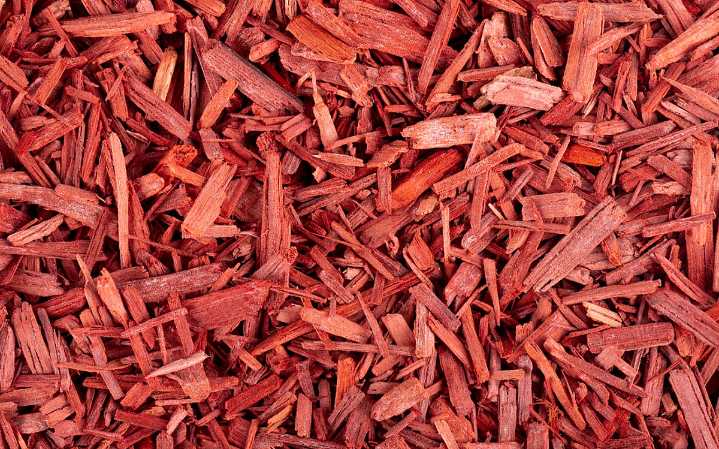 Centre increases export quota for legal red sanders