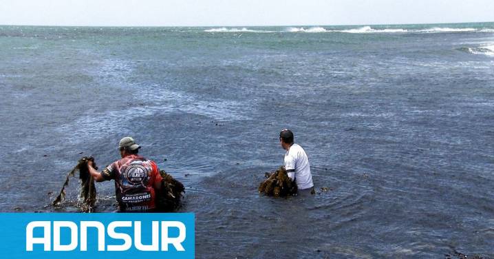 13:34 Capacitación en recolección subacuática de algas en Camarones: impulsan la actividad artesanal y laboral