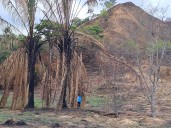 Vuelven las alertas por incendios de cobertura vegetal en la Jurisdicción de Corporinoquia