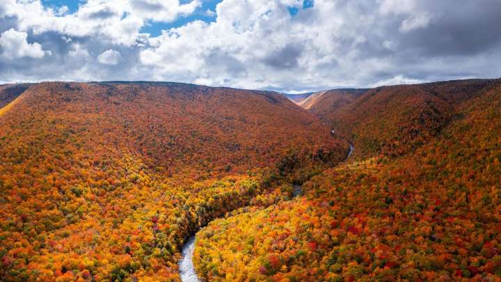 Forage and Feast This Fall in Canada’s Emerging Culinary Hotspot