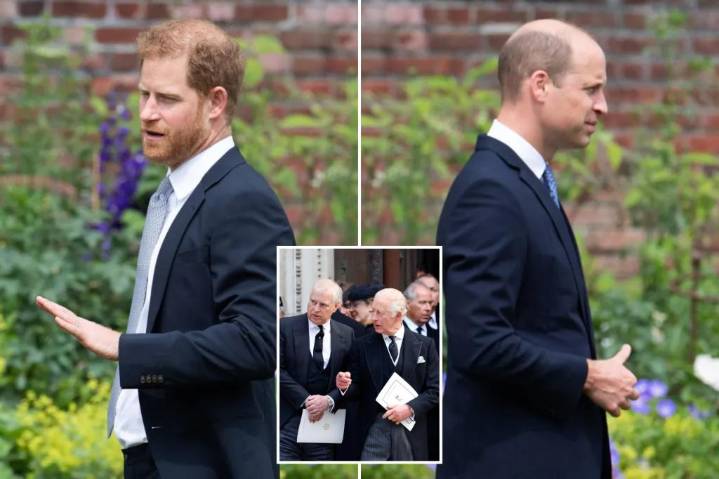 Exclusive | Prince Harry could eventually lose his title like Andrew: source