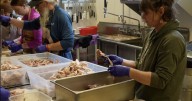 Livingston Free Community Thanksgiving Dinner serves 700 free meals
