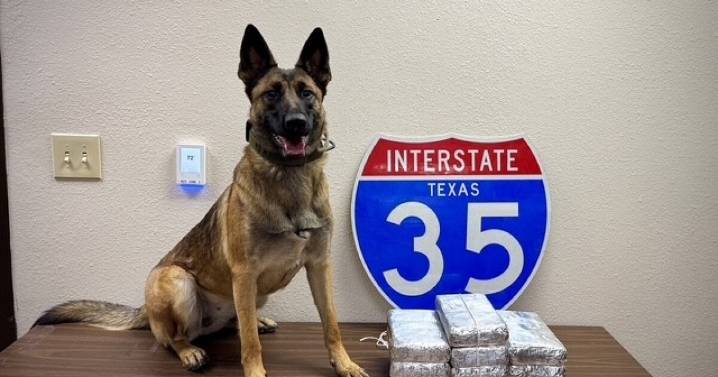Texas DPS K-9 sniffs out 24 pounds of fentanyl during traffic stop on Interstate 35 in McLennan County