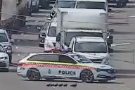 You have to see this! Police stop traffic to escort ducks across highway