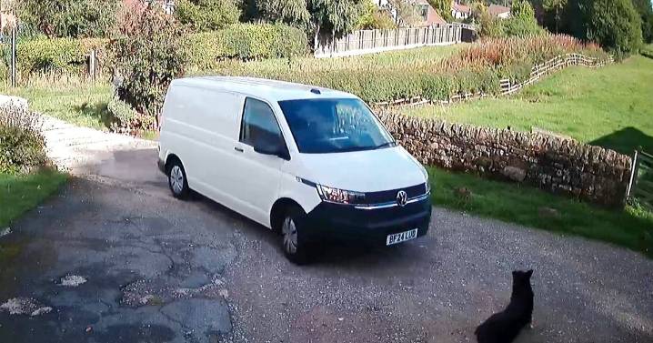 Amazon driver ran over my dog and drove off leaving me with £1200 vet bill