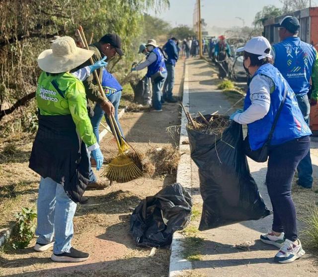 Megalimpieza revive el Arroyo El Cedazo