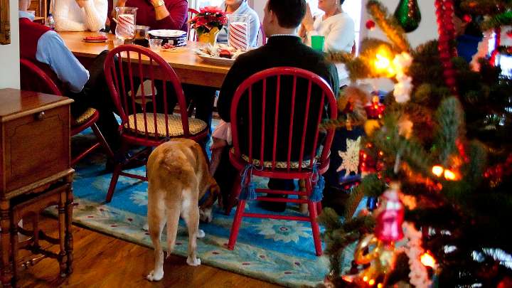 Extended Family Gathering Relegated to Well Outside the Christmas Week