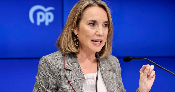 El PP pide a la Audiencia Nacional expulsar al PSOE como acusación popular del caso Koldo