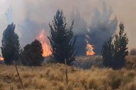 Ayacucho: más de 400 hectáreas arrasadas por incendio forestal en Vinchos