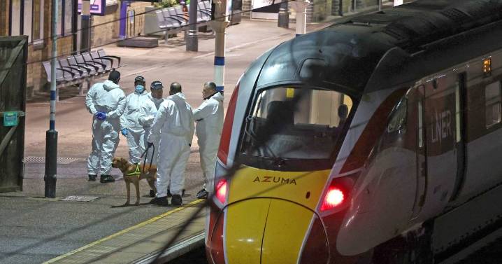 Heroic football fan who confronted knife-wielding train attacker says he has 'no regrets'