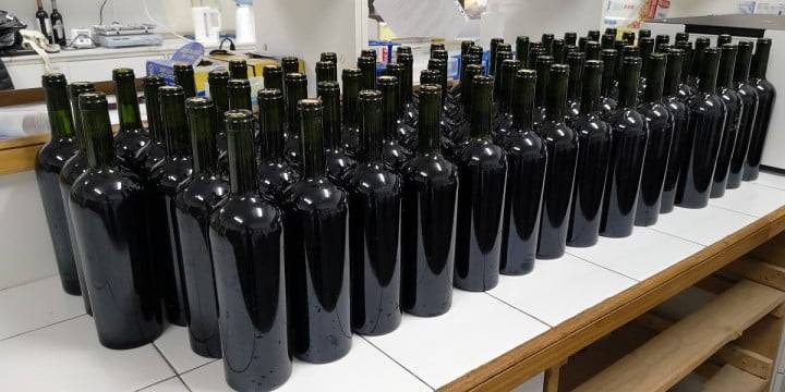 Producción de vino chileno cae un 10% en 2025 y acumula cuatro años de descensos