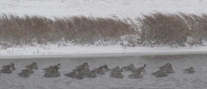 Riding out the storm