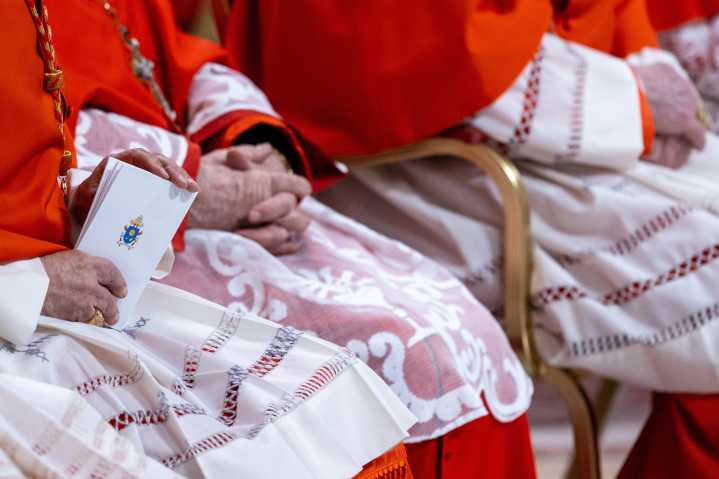 Pope Leo XIV plans to hold major meeting of cardinals in January