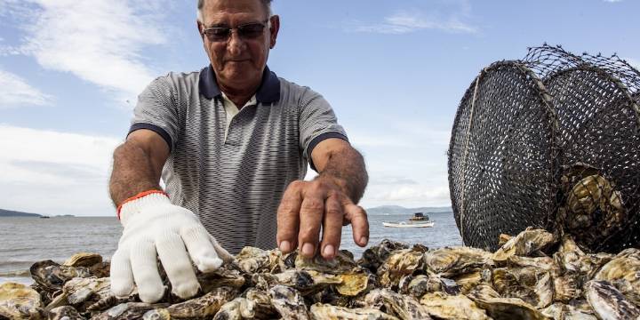 Maricultores reciben más de S/ 39 millones en créditos del Produce para impulsar su actividad