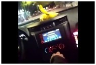 “Le dispararon a mi esposo”: mujer acusa a policías de SLP de herir en la cabeza a un hombre durante un operativo