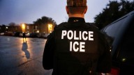 Noah Feldman: Why isn’t anyone stopping ICE?