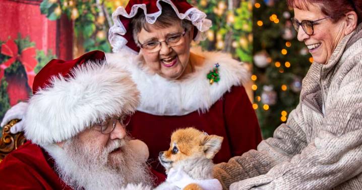 Where to see holiday lights, Santa and more around Eastern Iowa this year