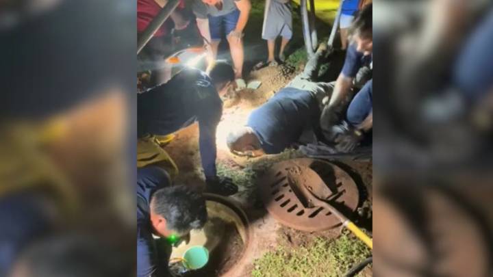 Hawaii Family’s Peaceful Stroll Ends With Panic When Their Pit Bull Disappears Underground