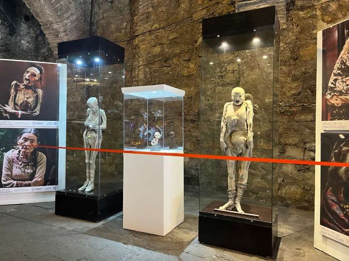 INAH pide esperar estudio antes de definir guion museográfico para las Momias