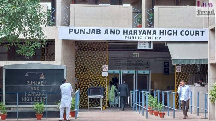 HC Slams Haryana for Action Against Doctor Who Didn’t Stand for MLA; Orders NOC, Imposes ₹50,000 Cost on State