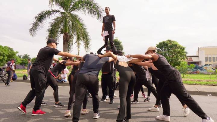 Se registró un incidente con un panal de abejas durante el ensayo del Salsódromo para la Feria de Cali; detalles de la jornada