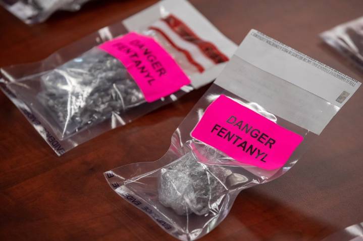 Illicit opioids like fentanyl linked to rise in fatal overdoses in Nova Scotia: study