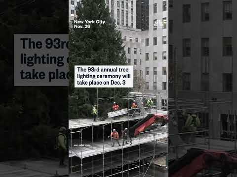 Scaffolding comes down from Rockefeller Christmas tree