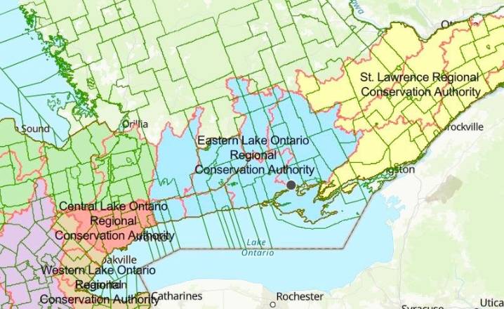 Quinte naturalists worried about proposed Quinte Conservation merger