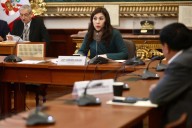 Camones: pedido de recusación e inhibición de Pedro Castillo no es procedente