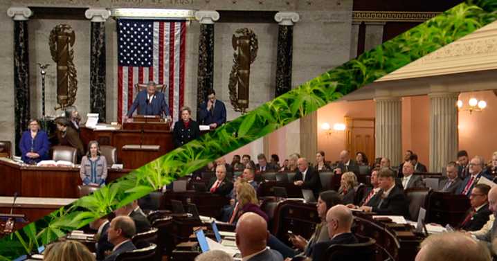 Congress is set to ban hemp. Ohio may not comply.