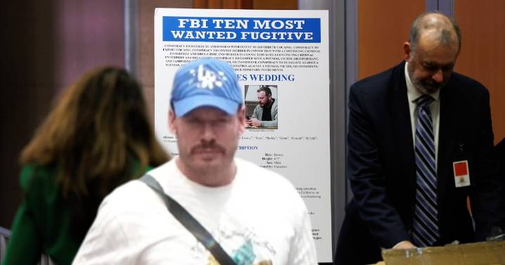 Ryan Wedding, ‘la versión moderna del Chapo’: ¿Cómo pasó de los Juegos Olímpicos al narco?