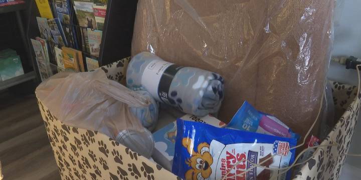 Santa Fe Palms RV Resort hosts 3rd annual toys for pups drive