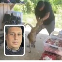 Se conocen detalles del caso del perro agredido en Antioquia: el ejemplar sobrevivió y el responsable quedó en libertad