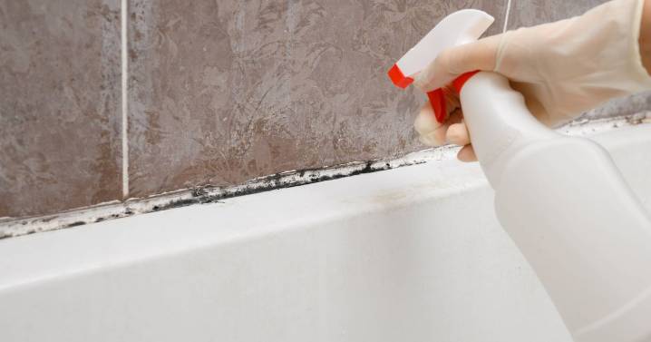 Expert says natural item removes shower mould in 10 minutes instead of bleach