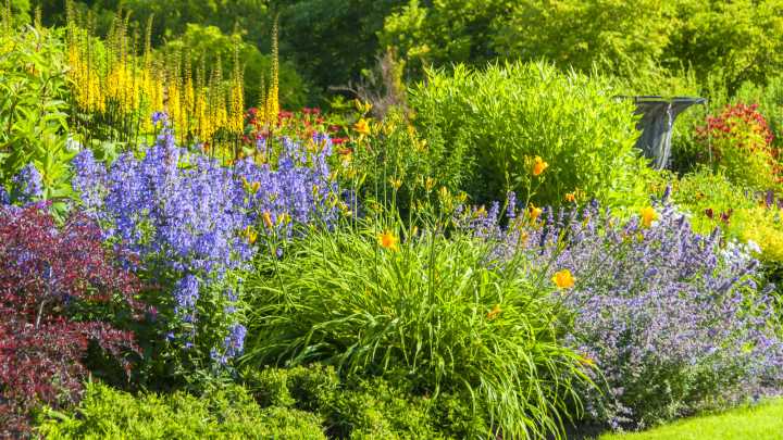 The Banana-Scented Flower That'll Thrive In Your Garden With Little Sunlight