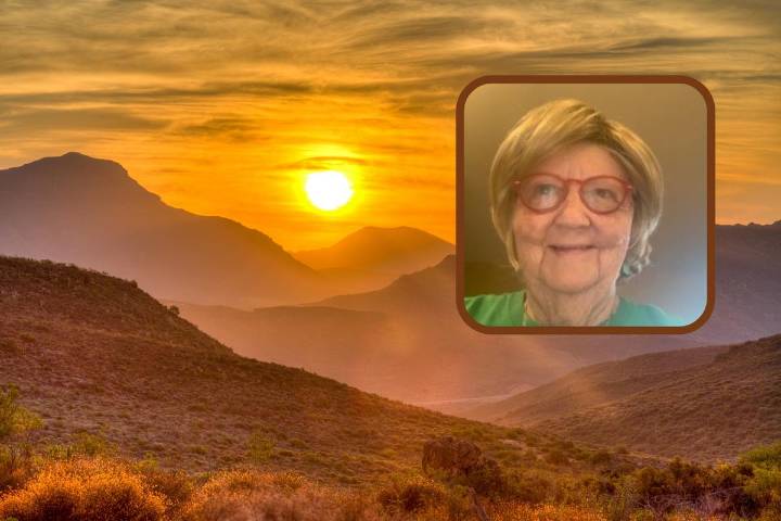 A Salute to Susan Anderson