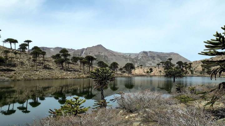 La impactante laguna de Neuquén que se esconde al pie de un volcán y refleja todo a su alrededor