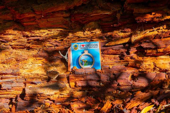 This Oregon forest treasure hunt has hidden 200 ornaments that could win you a free vacation