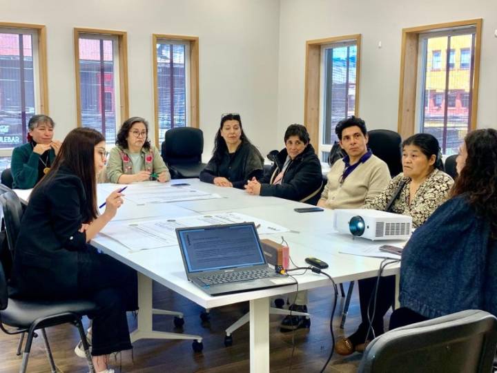 Los Lagos celebra el Día del Artesano/a sentando las bases para conformar una Mesa Regional de Artes...