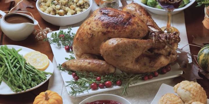 Tips to keep in mind for Turkey Day regarding your pet’s health