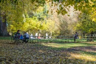 Election results: Portland voters approve parks levy, Washington County levies pass